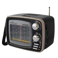 Radio Portatil 8 Bandas Analogo Con Axiliar Y USB