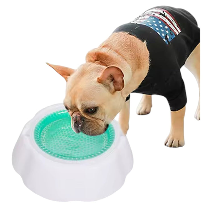 Plato Antiderrame Para Mascotas Agua Siempre Fresca